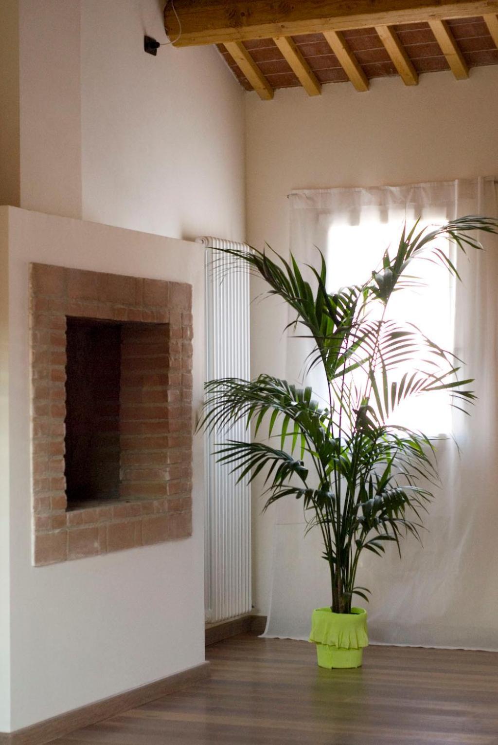 B&B Cittabella Cittadella Eksteriør bilde